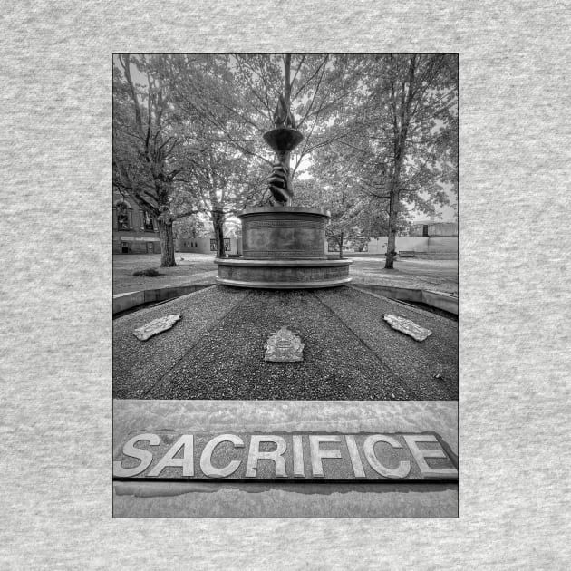 Charlottetown Memorial Fountain Sacrifice by Debra Martz